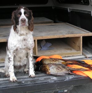 ???????????????????????????????