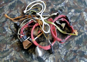 OLYMPUS DIGITAL CAMERA