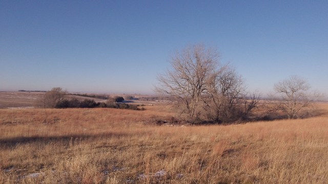 Late afternoon sunshine in November  illuminates the gold and red hues of a shortgrass prairie on the eastern edge of the Nebraska Sandhills region.  Every draw and swale and marshy bottom can hold whitetail deer in this country.  