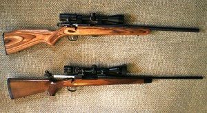 The same day you buy your hunting rifle, buy a .22 rimfire rifle that approximates the hunting rifle’s configuration as closely as possible. 