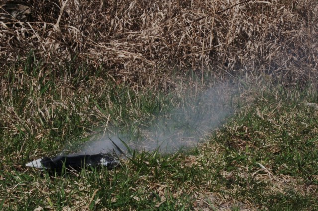 To learn about the vagaries of scent, drop a chunk of smoldering of wood into the grass on a windless day, lay on your stomach, and watch the fingers of smoke spread in unexpected directions.  