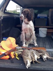 A good day of bird hunting seems especially sweet now that the Over-The-Hill Gang is part of the 'senior camp' fraternity.