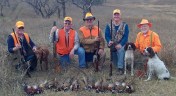 Shooting a limit of birds is not the most gratifying part of a day's pheasant hunt in South Dakota, but for the Over the Hill Gang it's a significant accomplishment. Most of the credit goes to (left to right) Ty the Irish setter and Abbey and Sasha the French Spaniels. Happiness is a bird dog on point is a beautiful sweep or grassland.