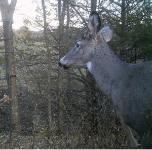 M2E42L139-139R399B310