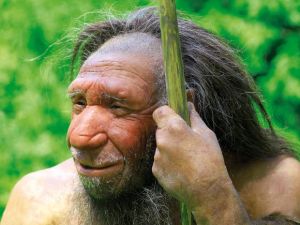neanderthal