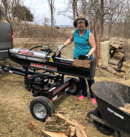 Regan splitting firewood